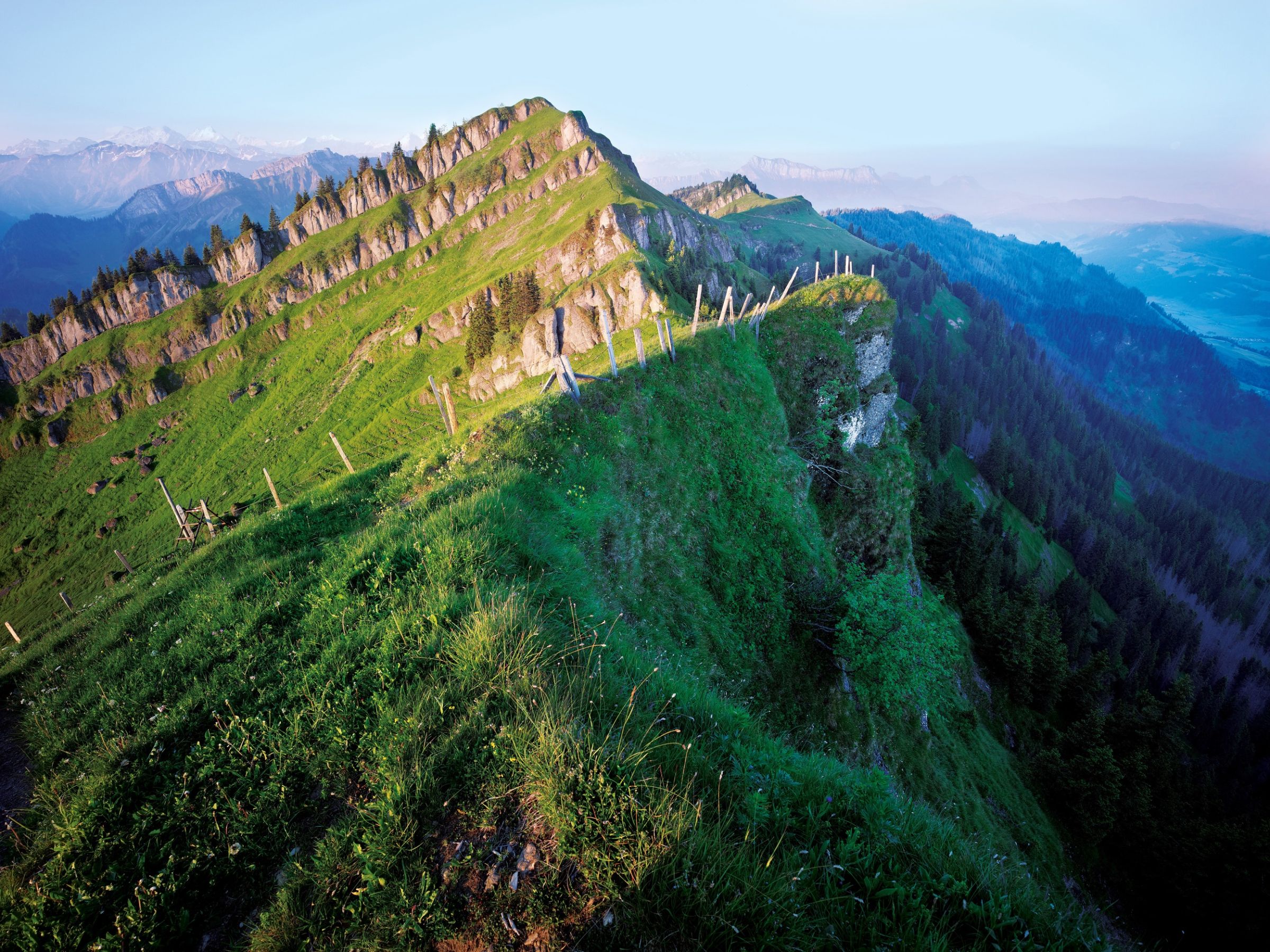 Sommer_Kalkrippe_Beichle_Escholzmatt_Gerry Nitsch_06_10.jpg