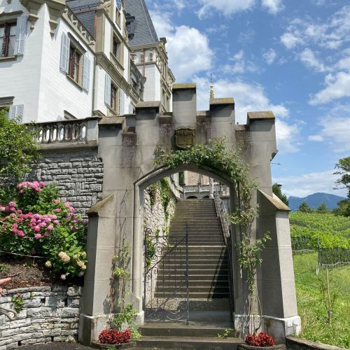 Schloss Meggenhorn_Meggen LU_79.jpg