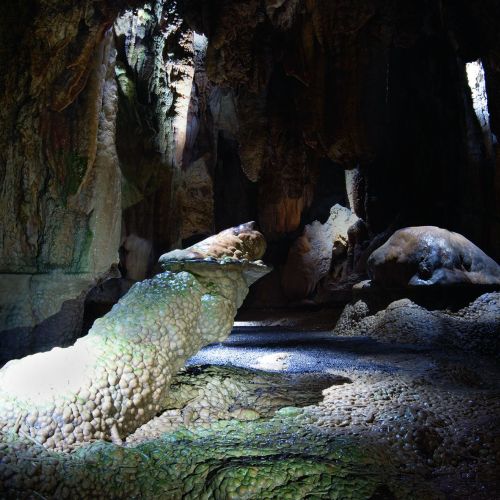 143-3 Höllgrotten Krokodil CVG_0564_CMYK_v2.jpg