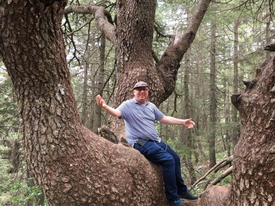 Chläusi im Zedernwald.jpg