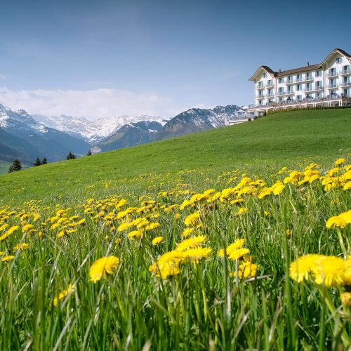 hotel-villa-honegg-aussenansicht-fruehling.jpg