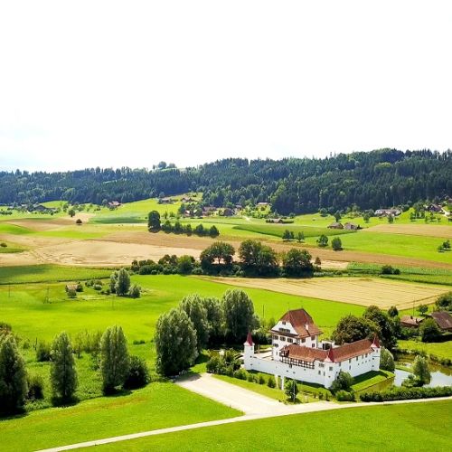 Schloss Wyher_Umgebung.jpg