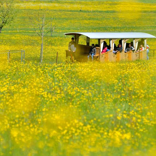 Standseilbahn (3).jpg