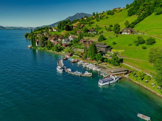 Baumgarten - DISCOVER.jpeg