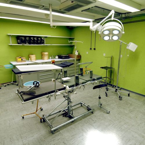 GRS_130.JPG