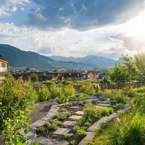 Essbare Landschaft 3.jpg