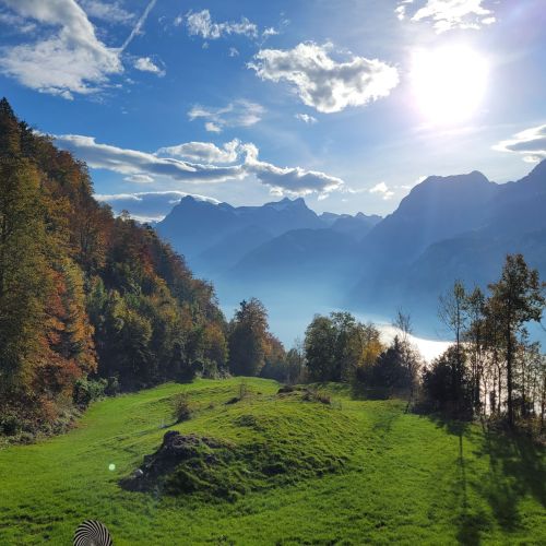 Herbst 3.jpg